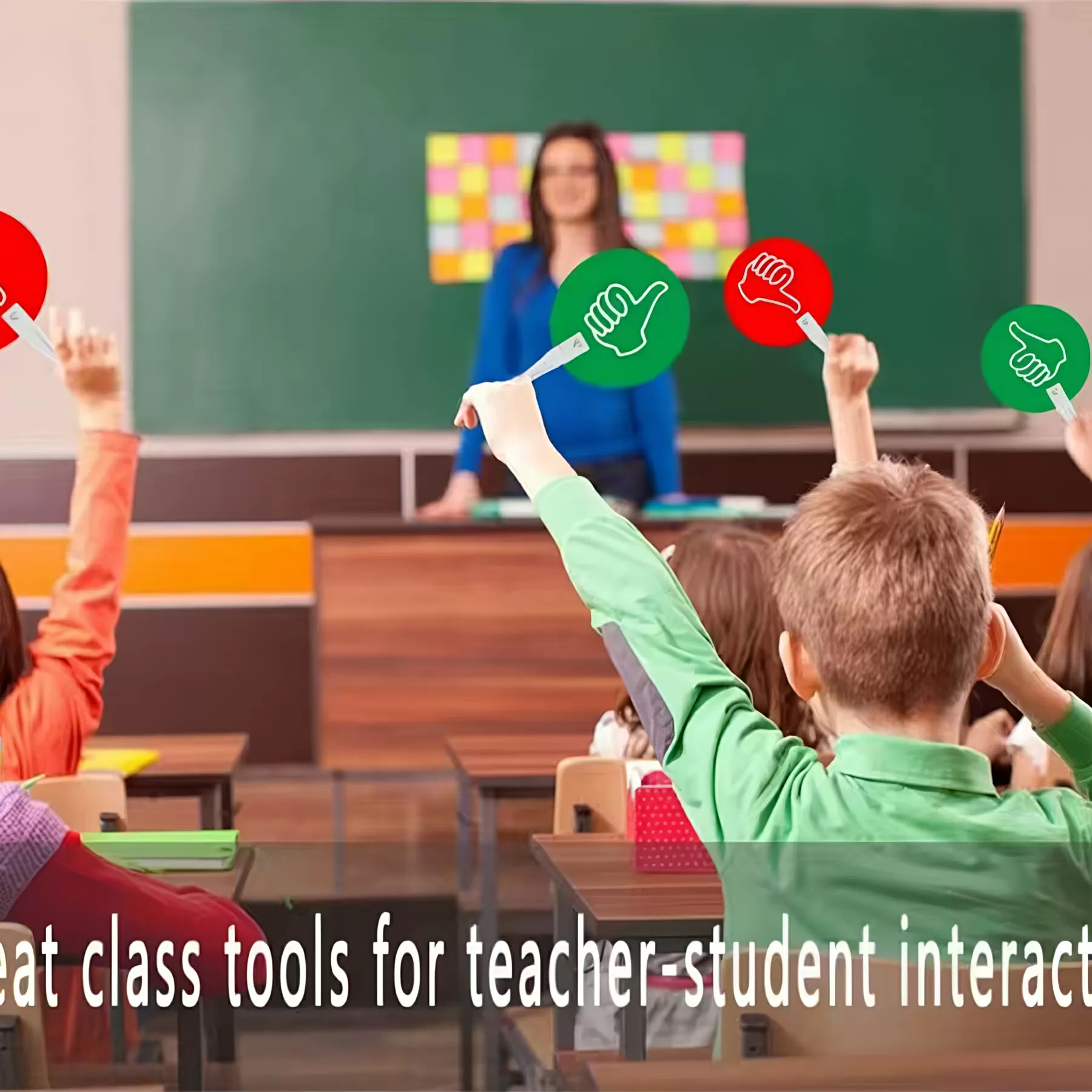 Yes No Paddles - Image 5